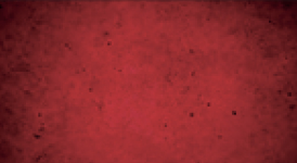 Dixie Red