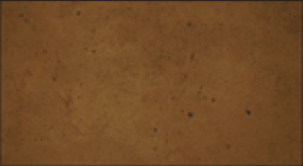 Raw Sienna